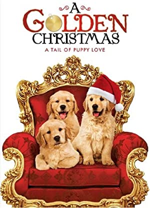 A Golden Christmas (2009) starring Andrea Roth on DVD on DVD